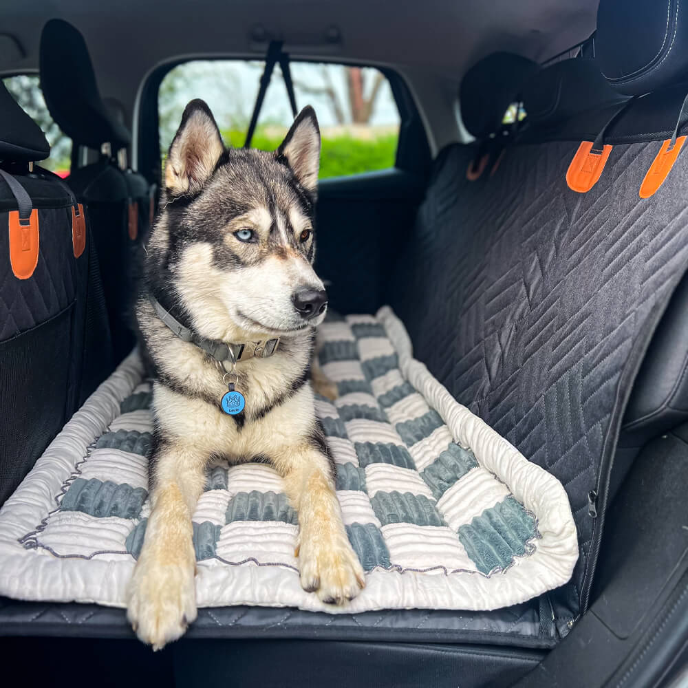 Ruff Rover Ultimate Accessories Value Pack