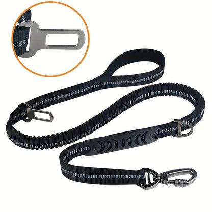 The Ultimate Leash & Harness Combo