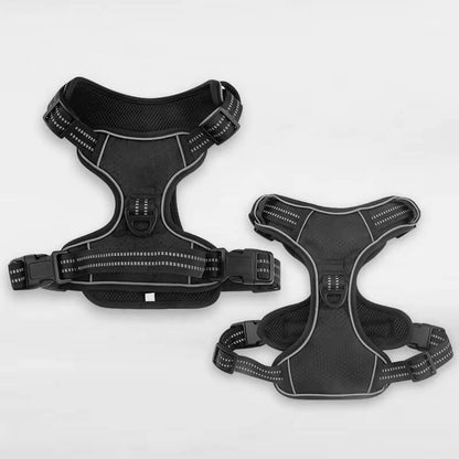 The Ultimate Leash & Harness Combo