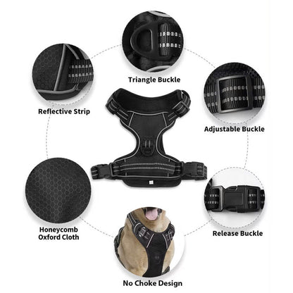 The Ultimate Leash & Harness Combo