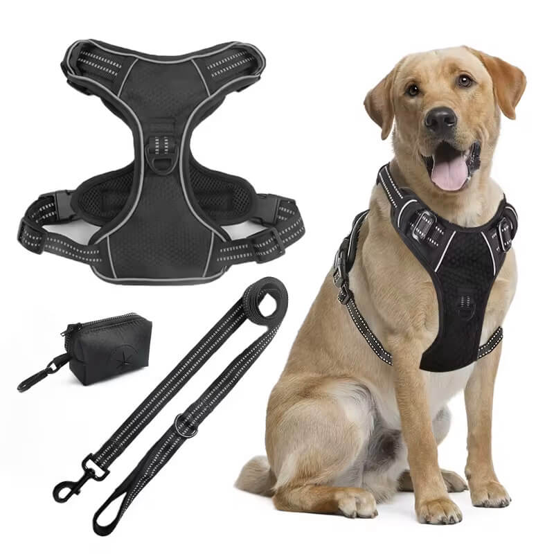 Pup Safety Harness Bundle